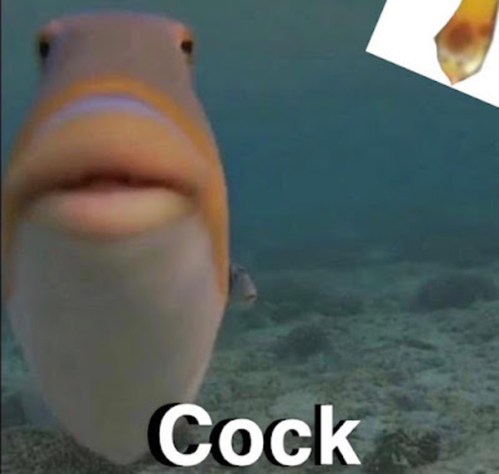 Meet your Posher, Sukizu